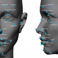 تشخیص چهره به کمک پردازش تصویر با روش SVD همراه دیتابیس