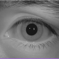 پروژه فیلتر تصویر در حوزه فرکانس برای عنبیه چشم با MATLA